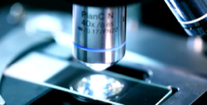 國藥中(zhōng)生(shēng)形象宣傳片