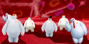 定植大(dà)白(bái)