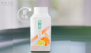 伊利亞足聯亞洲杯官方全球合作夥伴